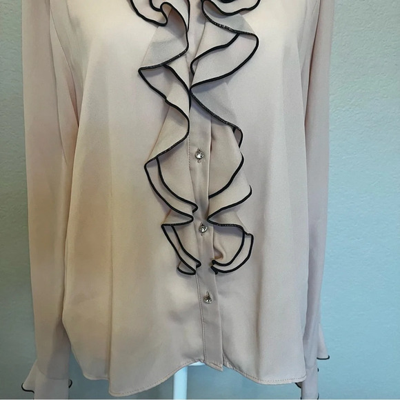 Zara  jewel button cascade ruffle blouse in pale pink and black size medium - Picture 5 of 15